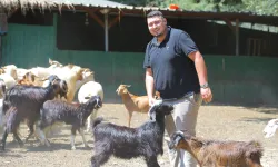 Adak kesimine gitti hayatı değişti! İki oğlakla başladı, 500 hayvana ulaştı