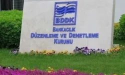 BDDK'dan faaliyet izni iptali