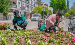 Daha yeşil Milas için yoğun çalışma