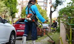 İstanbul Maltepe'den çevre düzenlemelerine devam
