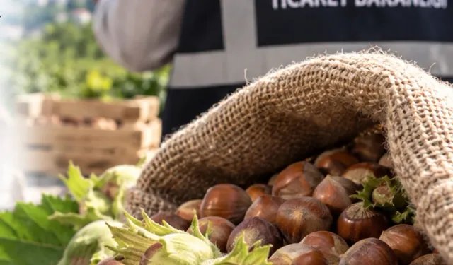 Fındık piyasasında mercek büyütüldü! Ordu ve Giresun'da müfettişler sahada