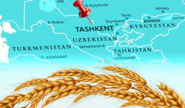 Türkiye un ihracatında 12. şampiyonluk hedefini koydu... Tahıl sektörü Taşkent'te buluşuyor